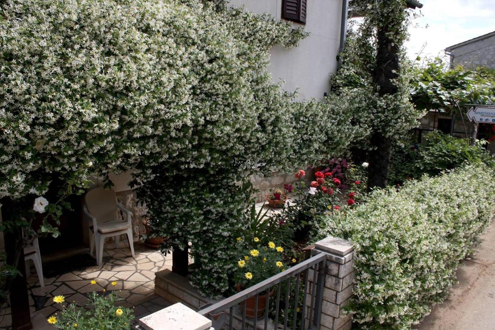 Anamarija Apartments Near The Beach And The Fantastic Adria Sea With Over 10 Small Islands Close By Funtana Bagian luar foto